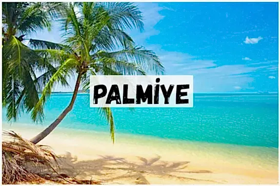 PALMİYE